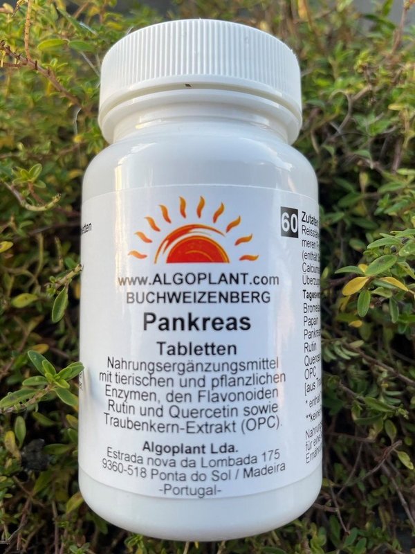 Pankreas 60 Tabletten Buchweizenberg/Algoplant